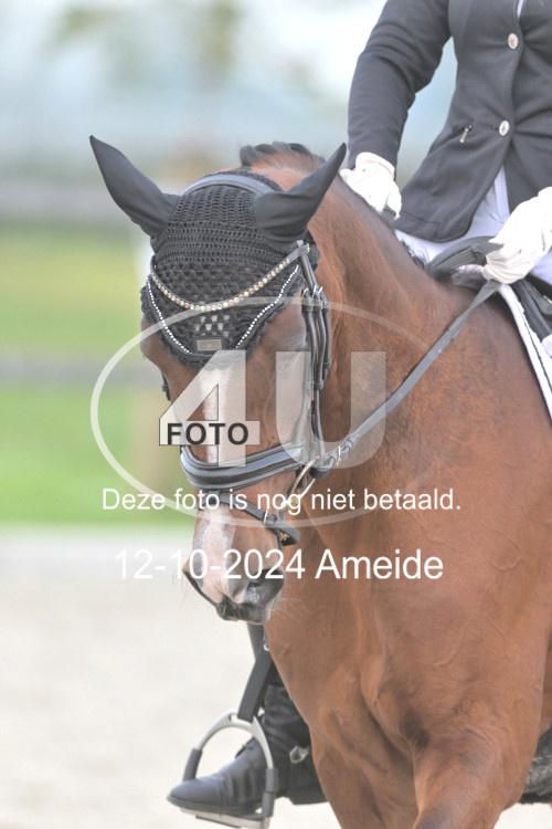 241012 0353