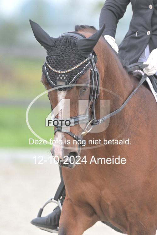 241012 0354