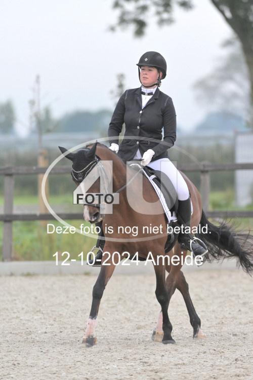 241012 0357