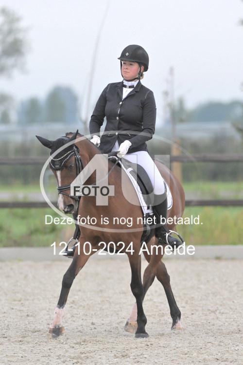 241012 0359
