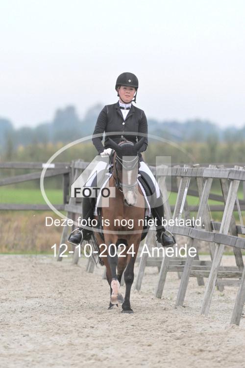 241012 0376