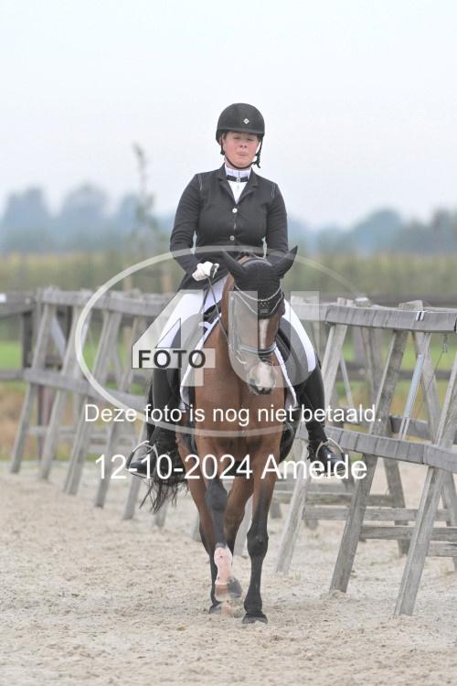 241012 0377