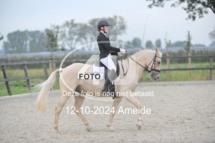 241012 0386