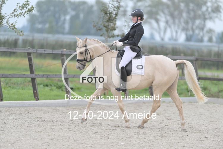241012 0391