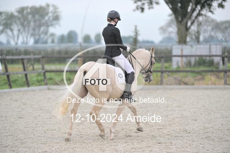 241012 0397