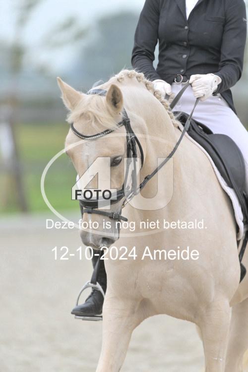 241012 0408