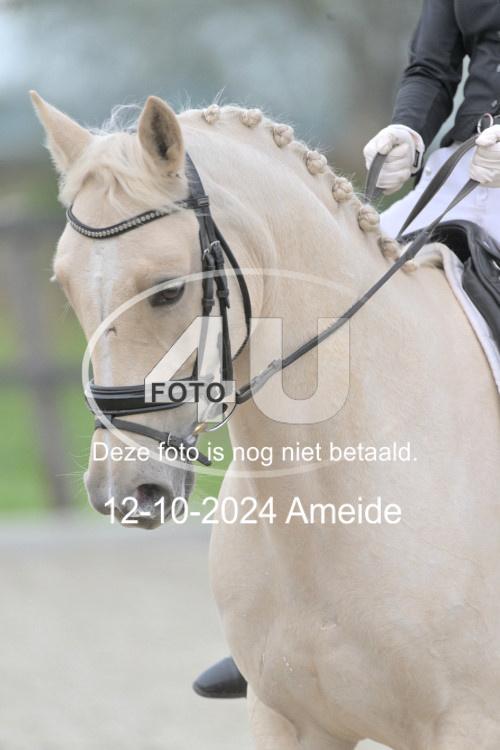 241012 0409