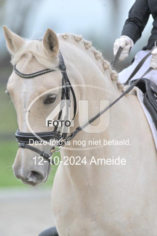 241012 0410