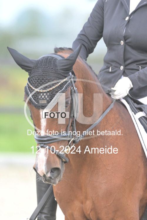 241012 0439
