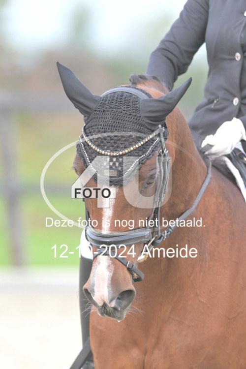 241012 0440