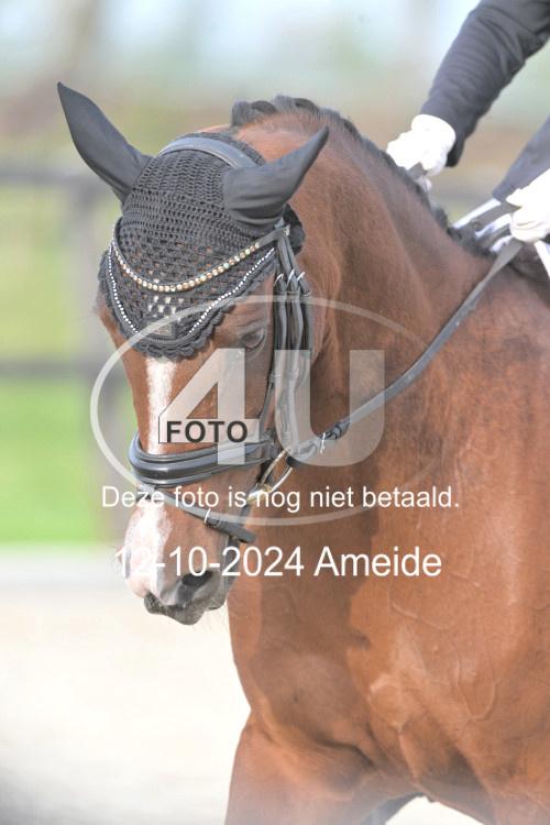 241012 0466