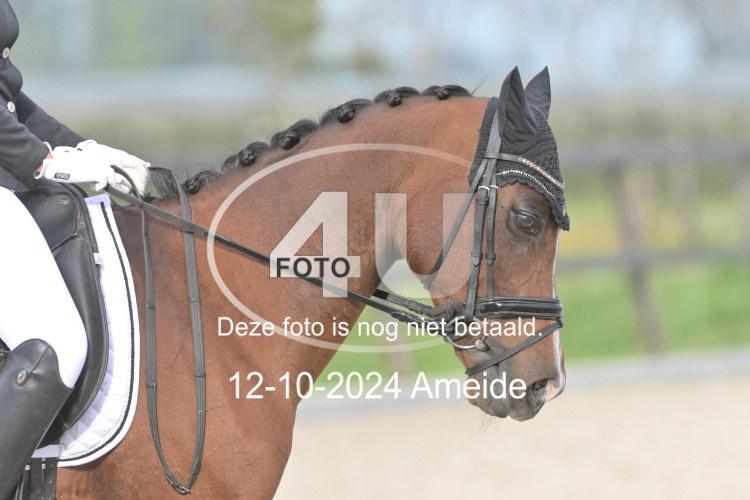 241012 0468