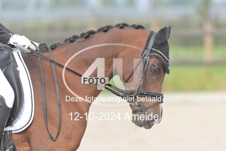 241012 0470