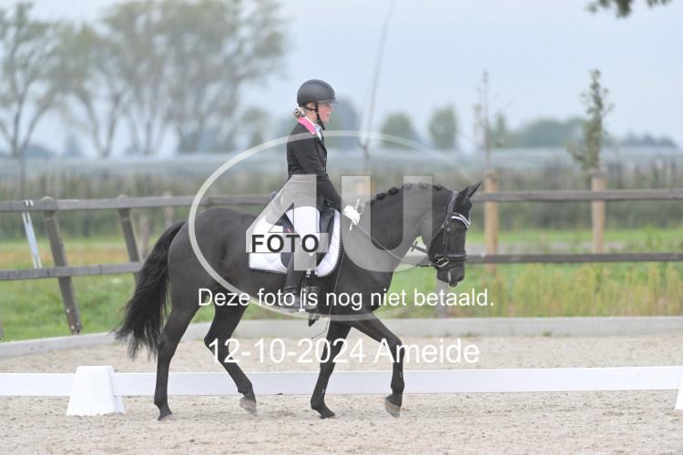 241012 0491