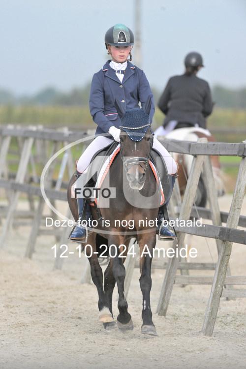 241012 0558