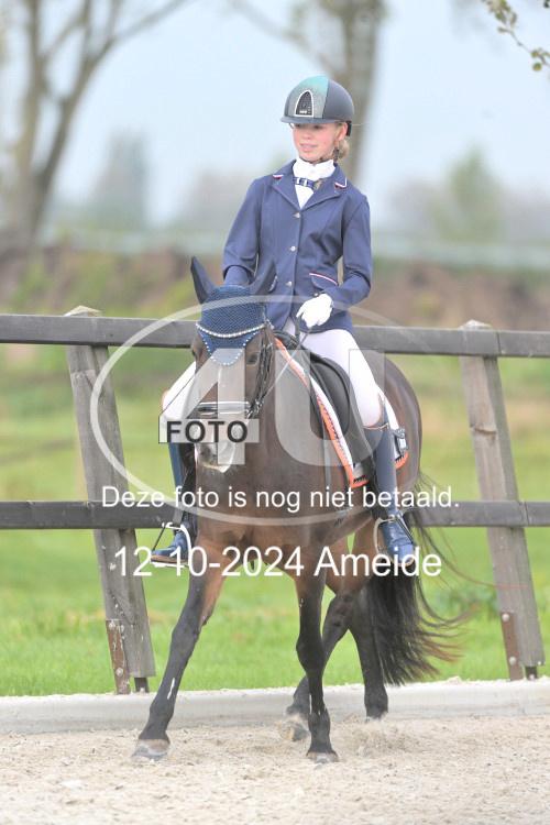 241012 0586