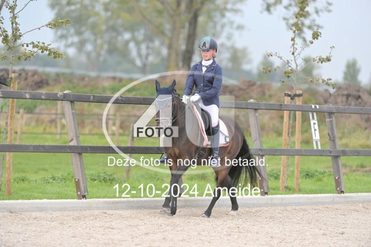 241012 0589