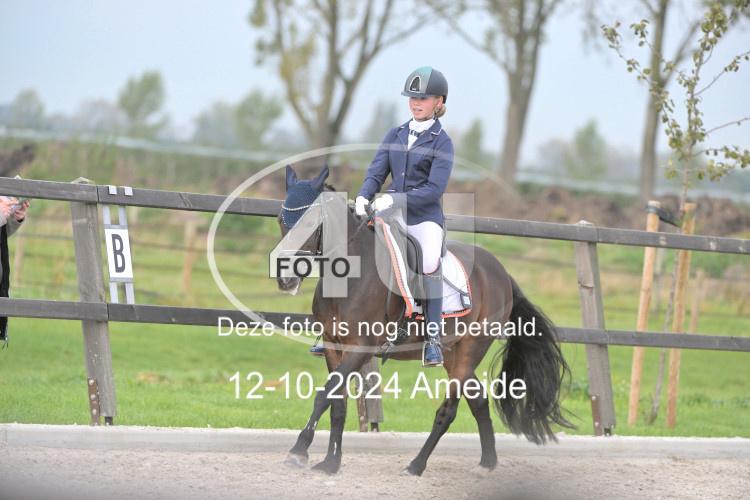 241012 0590