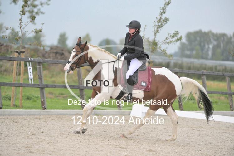 241012 0633