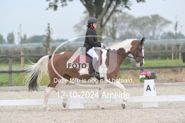 241012 0691