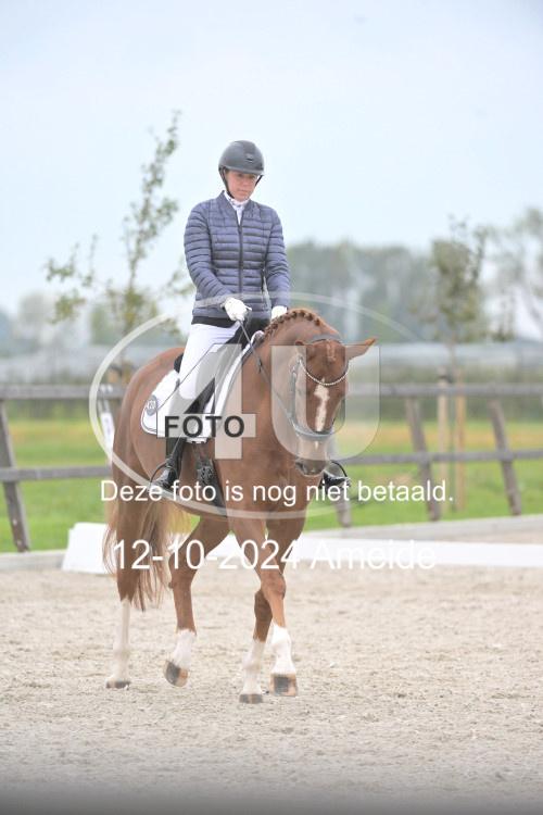 241012 0737