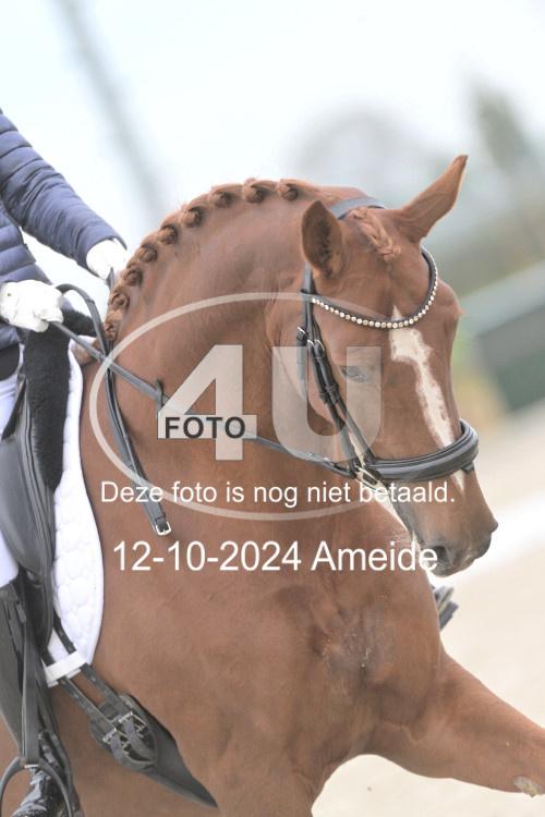 241012 0740