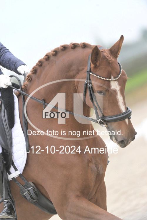241012 0741