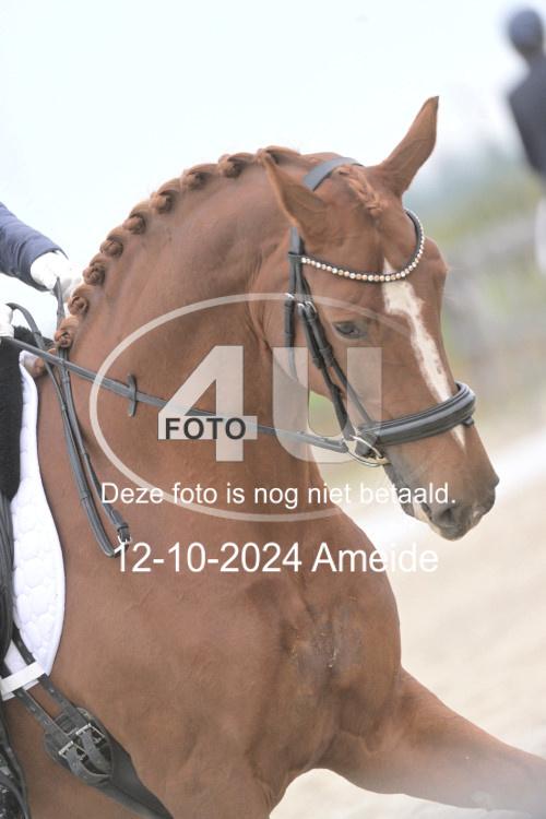 241012 0742