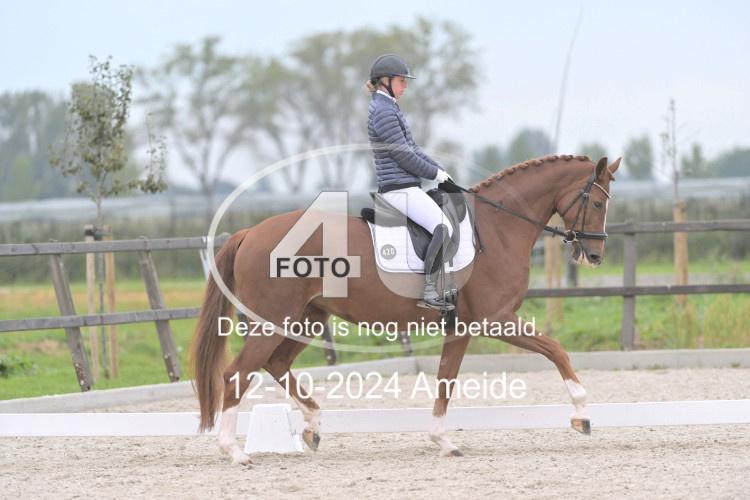 241012 0744