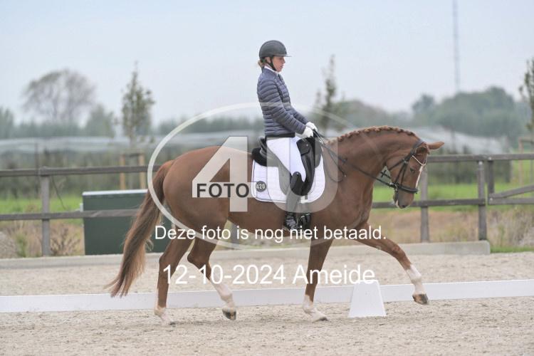 241012 0749