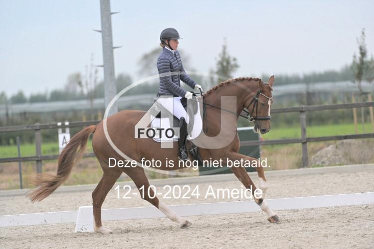 241012 0761