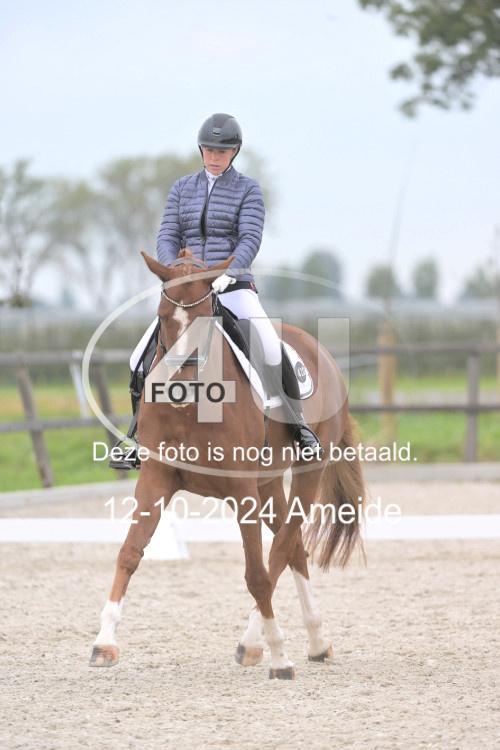 241012 0763