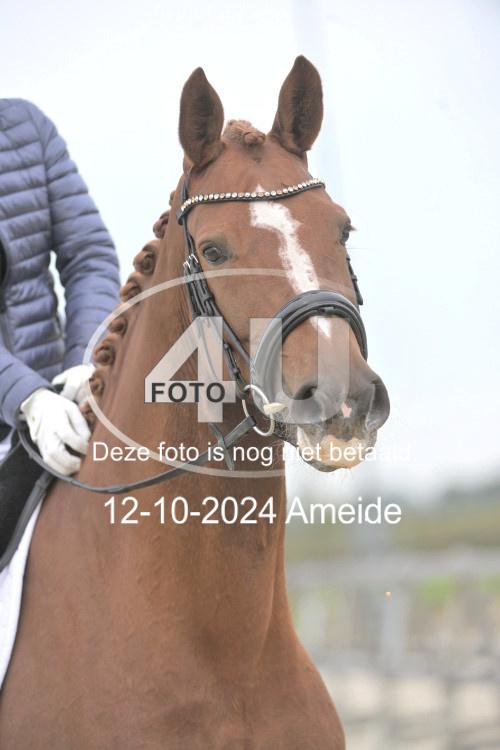 241012 0770
