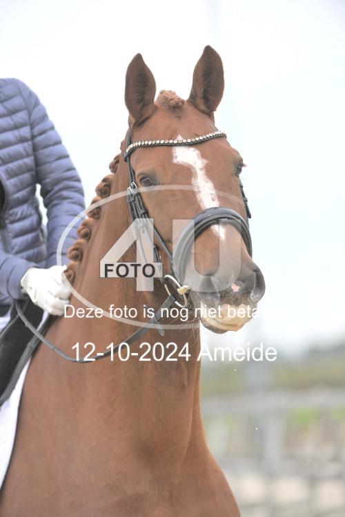 241012 0771