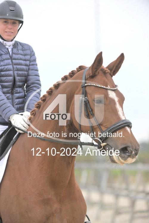 241012 0774