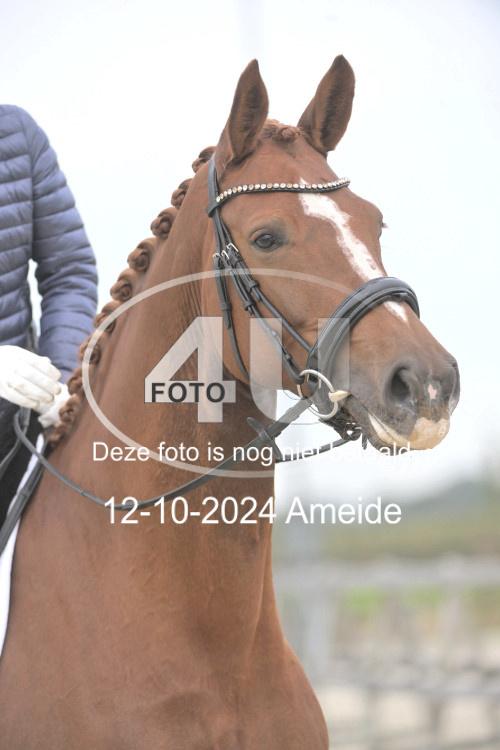 241012 0776