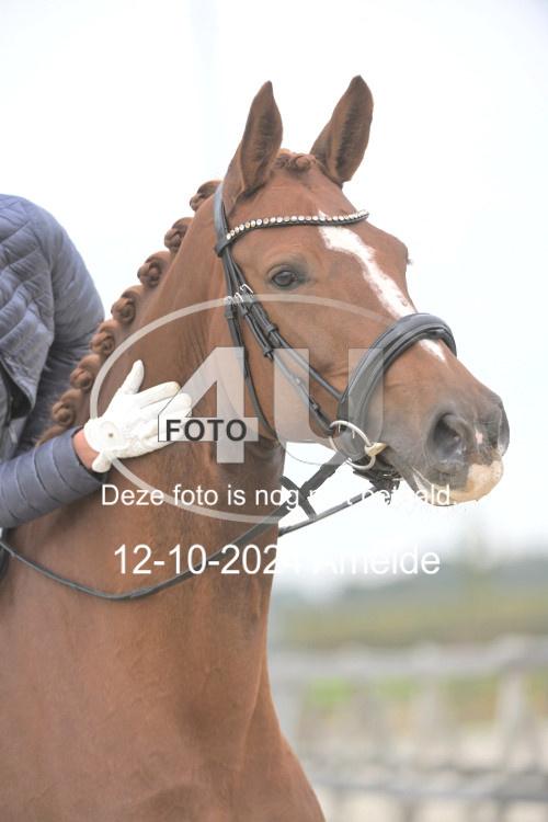 241012 0777