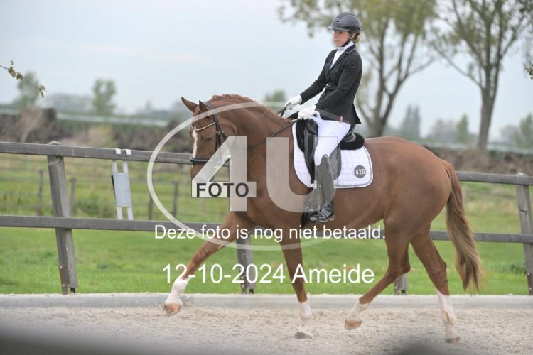 241012 0837