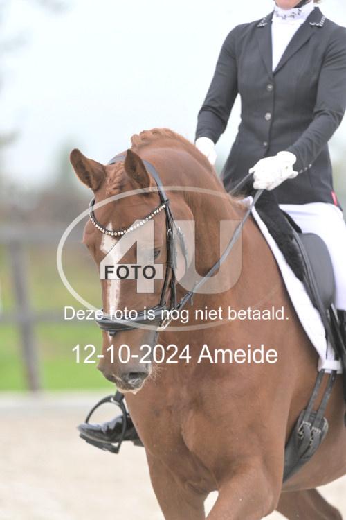 241012 0844