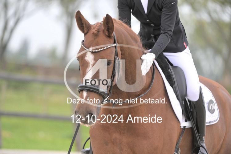 241012 0899