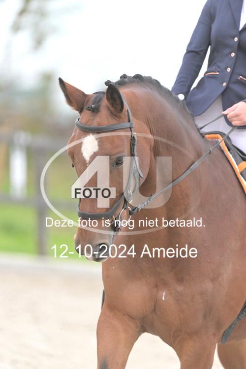 241012 0931