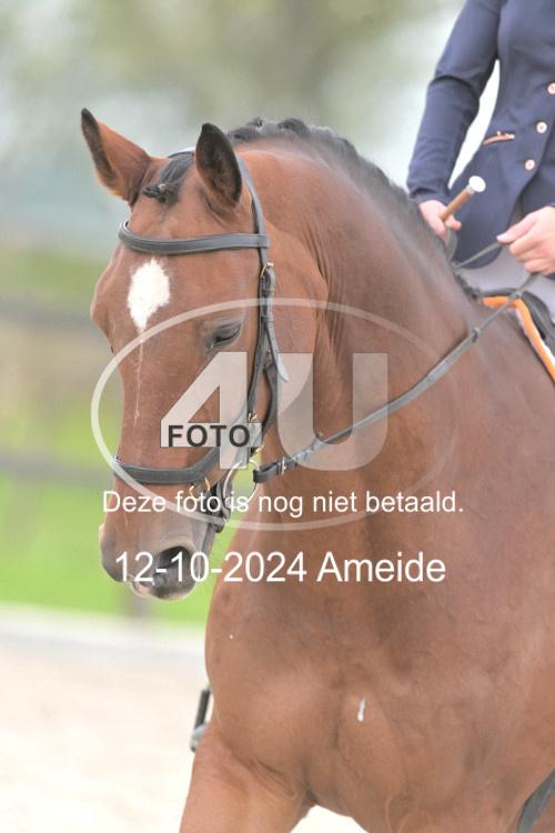 241012 0933