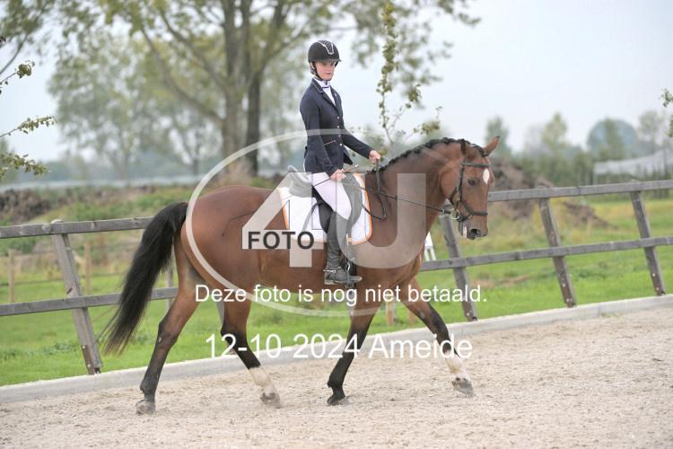 241012 0934