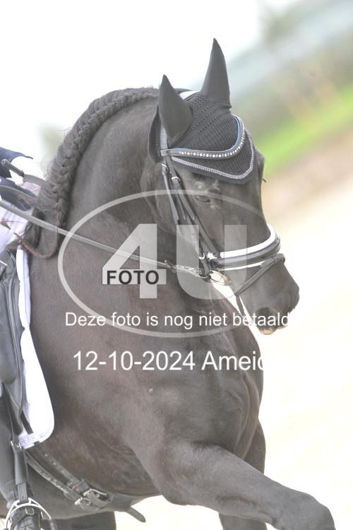 241012 0986