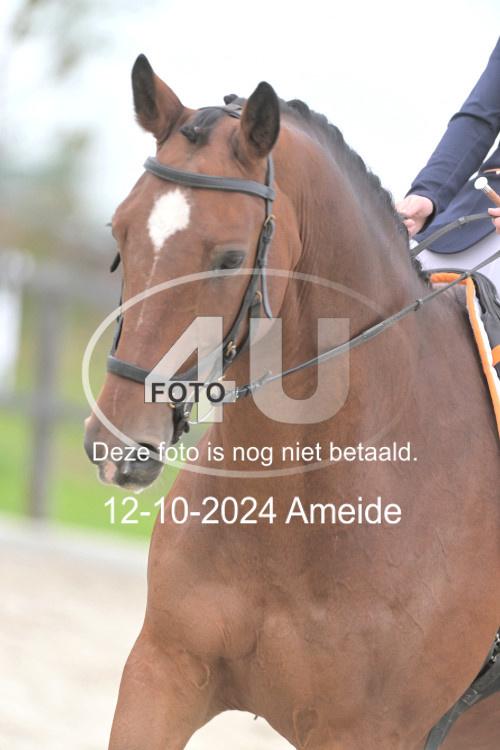 241012 1011