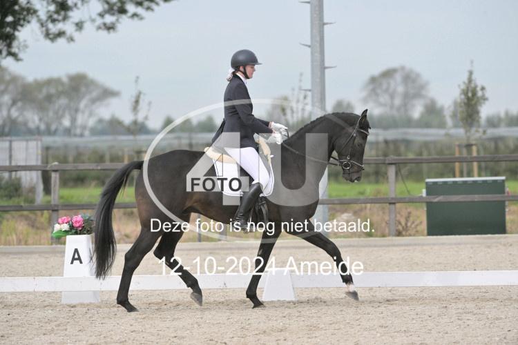 241012 1068