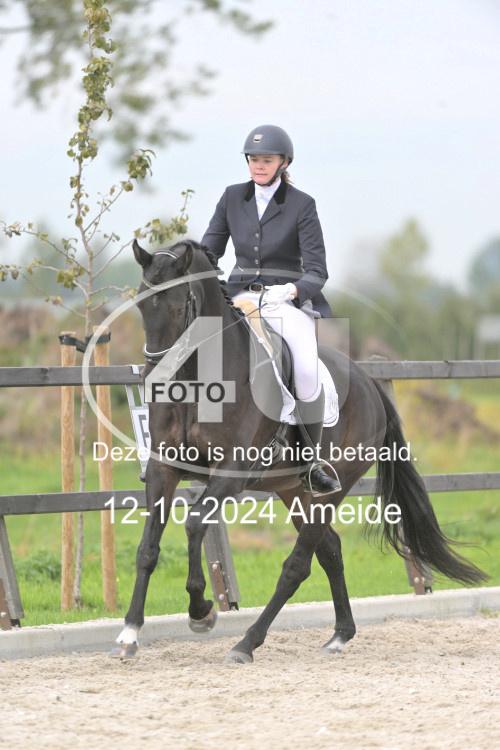 241012 1111