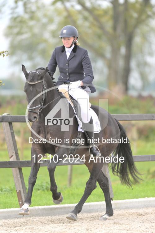 241012 1113