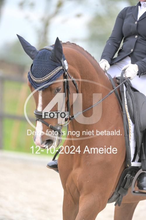 241012 1142