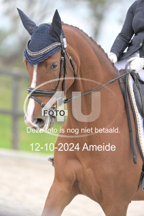 241012 1143